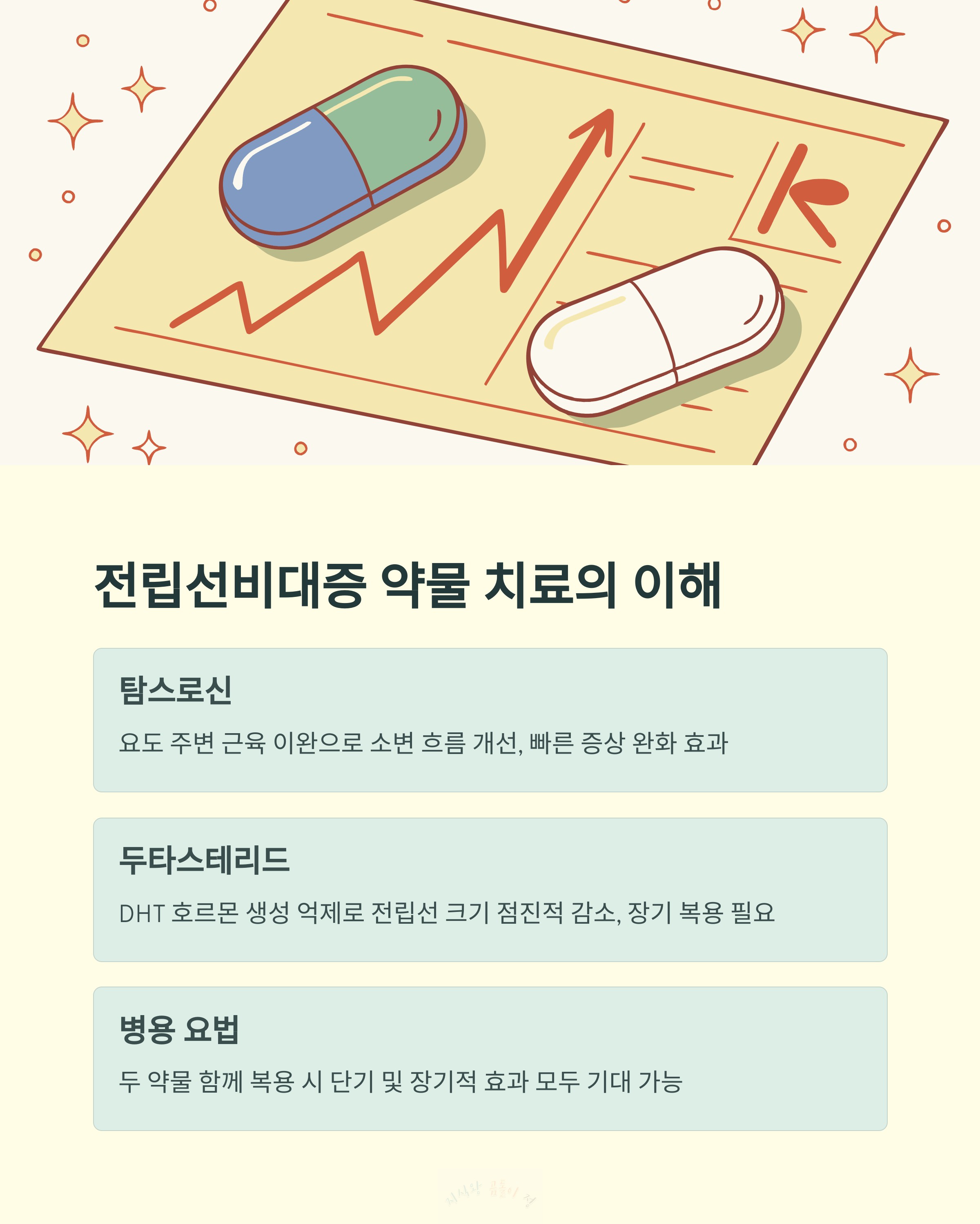 전립선 비대증 약물 치료의 이해