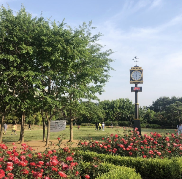 몽마르트르공원 이미지