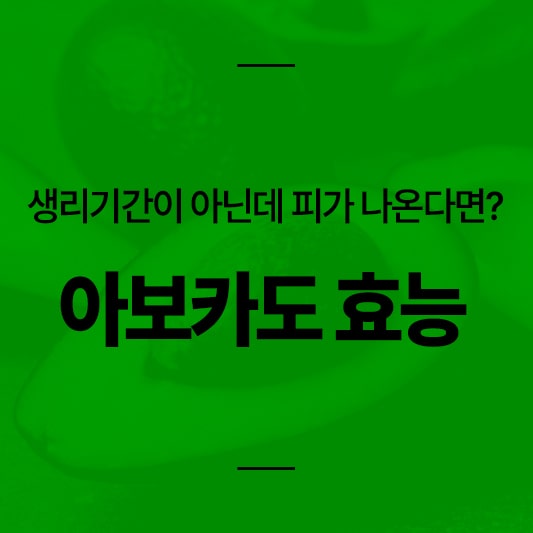 아보카도 효능 1