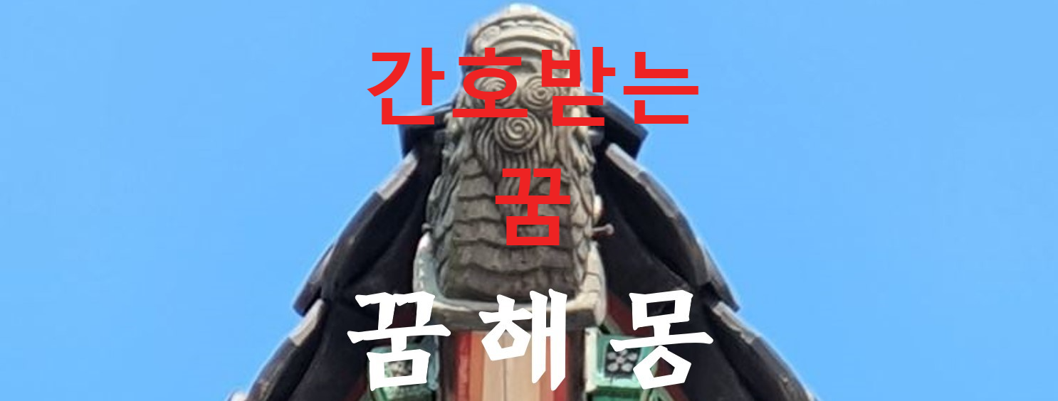 꿈해몽