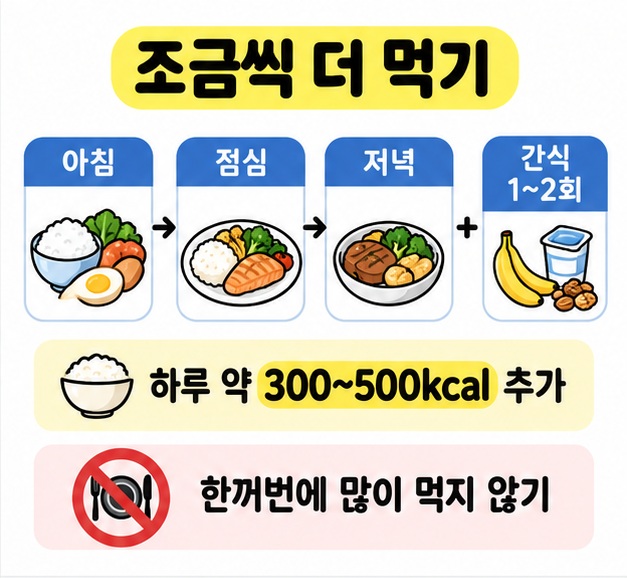 하루 섭취량을 조금 늘리고 식사와 간식을 나누어 먹는 방법을 간단한 식사 아이콘으로 보여주는 카드