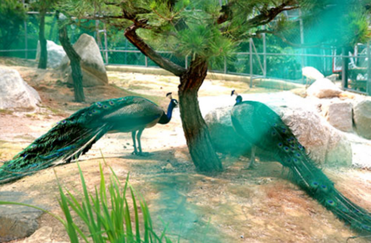 파주 퍼스트가든