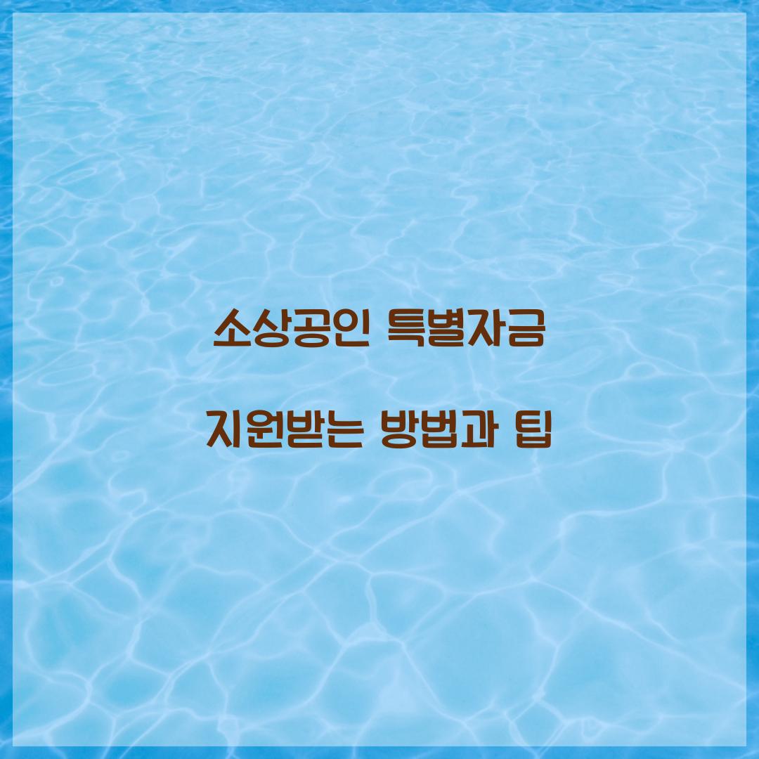 소상공인 특별자금