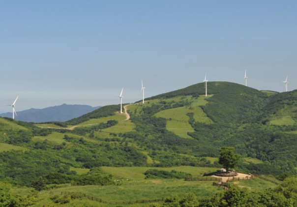 [강원도여행지 추천] 여행코스 갈만한곳 - 대관령 관광특구