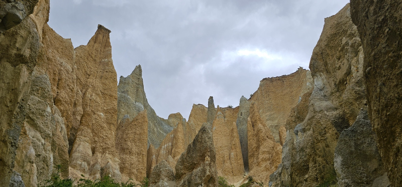 뉴질랜드 클레이 클리프