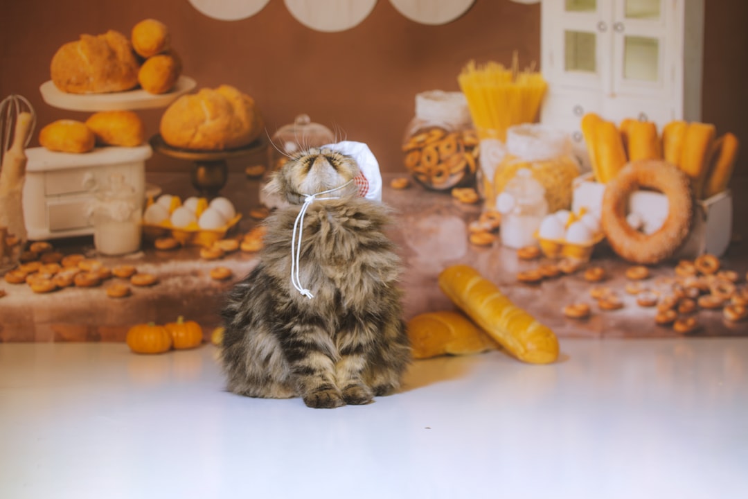 Pet food