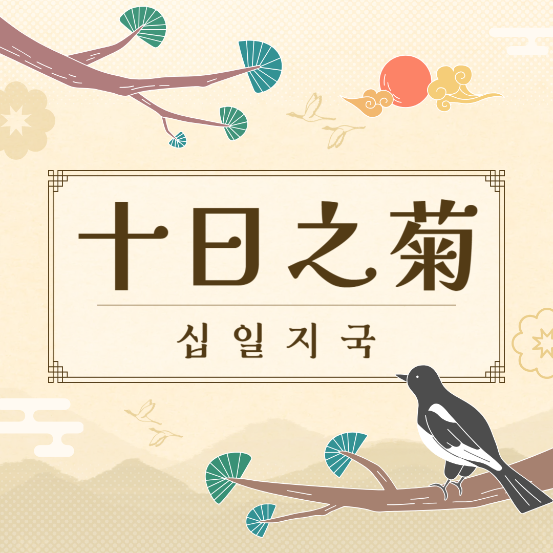 십일지국(十日之菊) 뜻, 유래, 예문, 반대말, 유의어