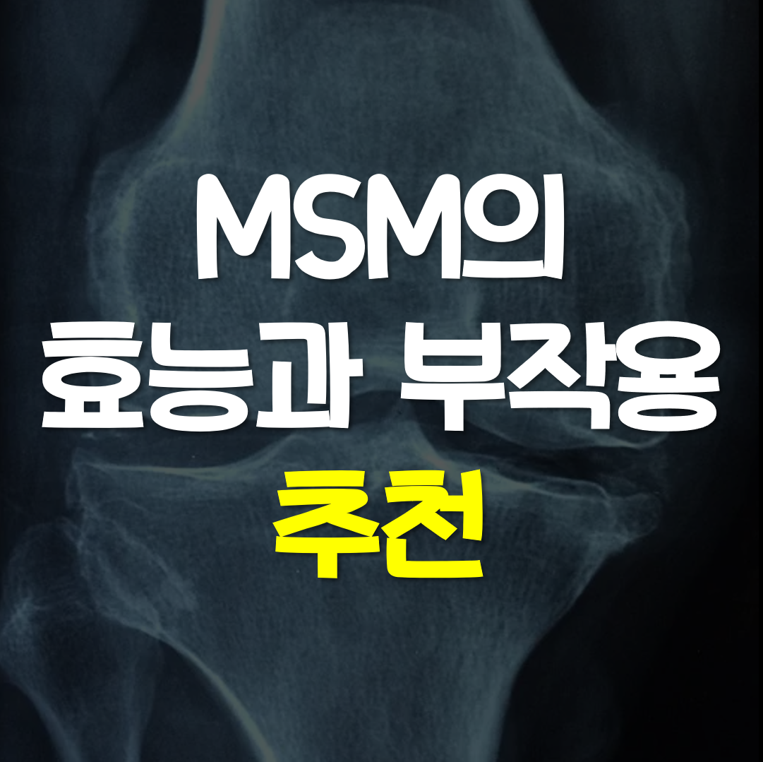 msm의-효능