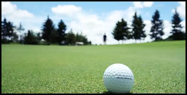 파크골프 용어 정리 (+ 해설 )