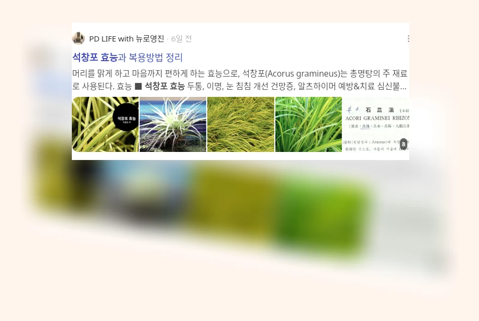 석창포 효능_2_subsection