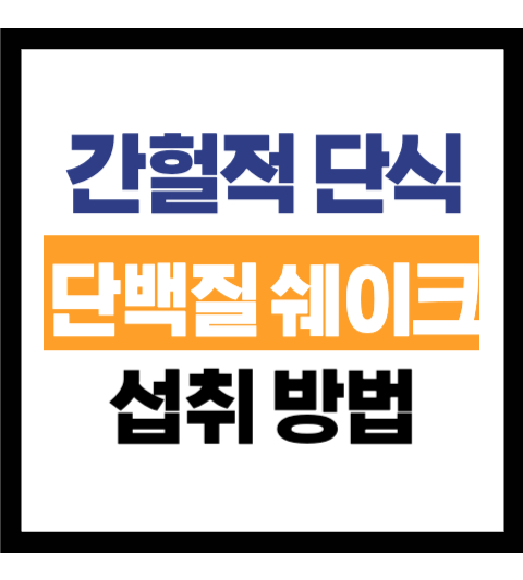 간헐적단식 단백질쉐이크 섭취방법