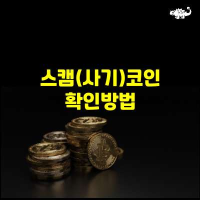 스캠코인 확인방법
