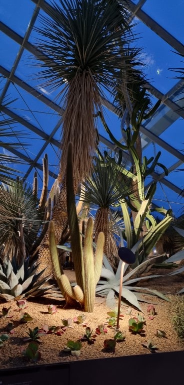 가든스 바이 더 베이 플라워 돔