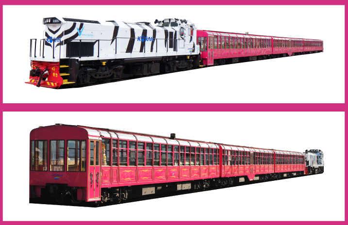 백두대간협곡열차(V-트레인) 