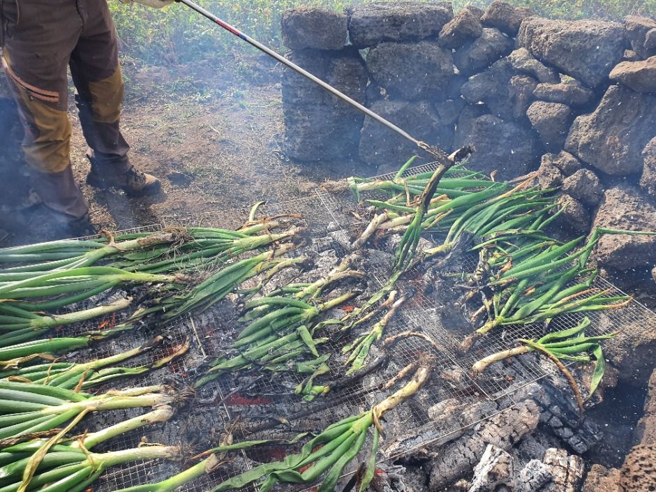2025 보롬왓 대파축제 이미지