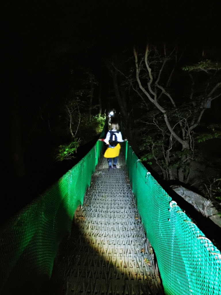 흔들다리