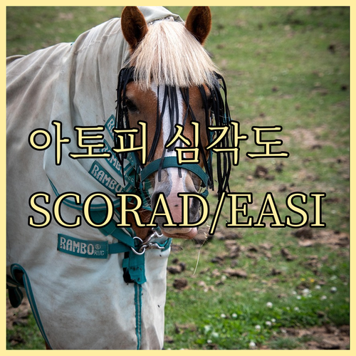 SCORAD와 EASI 지표로 알아보..