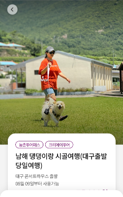 농촌투어패스 티머니고 서비스 이용방법