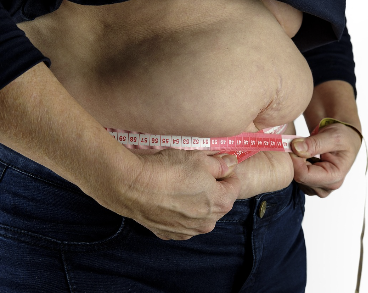 비만 치료를 위한 일라이 릴리 기업의 이미지