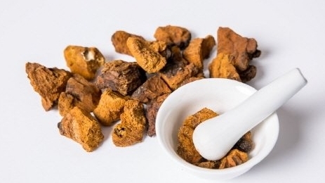 절구에-버섯을-빻고있는-모습