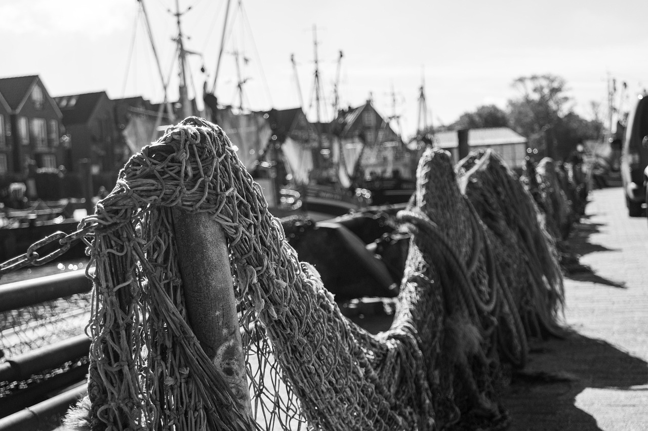 2026 농어촌 기본소득