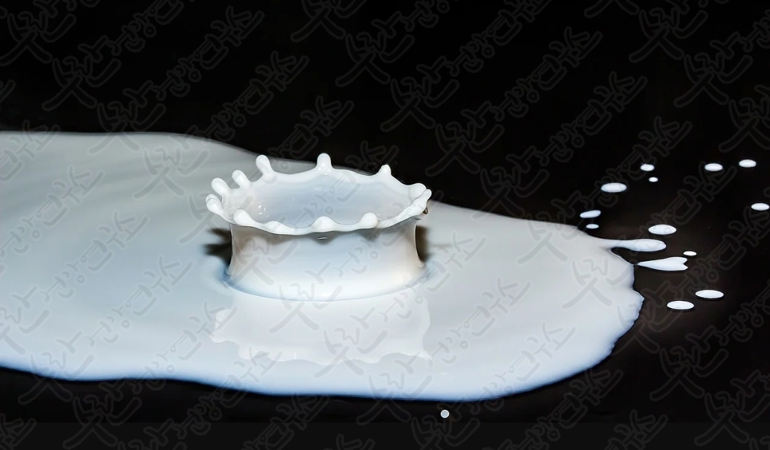 셀트리온 초유 단백질13