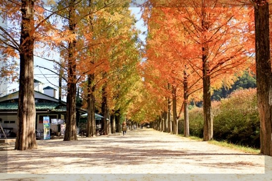 12월 여행지 추천 국내 여행지 추천 10곳