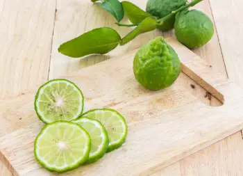 베르가못 효능 효과&amp;#44; 베르가못 제품