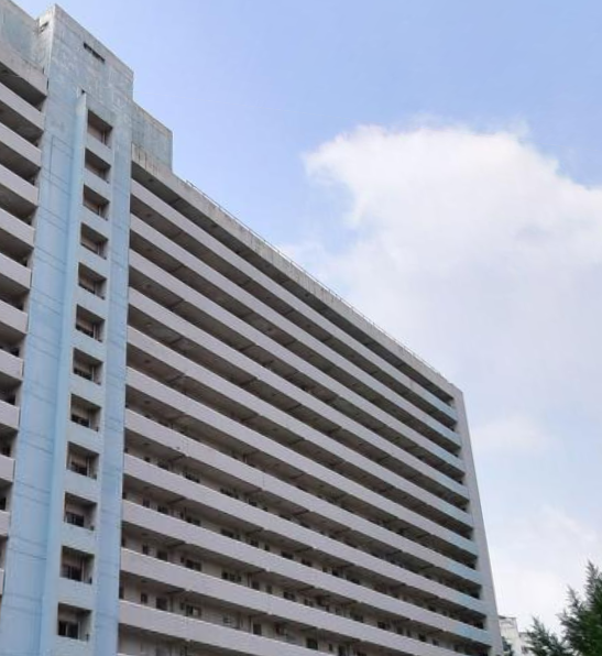 은마·개포·잠실, 강남 구축 아파트가 ‘로또’인 이유