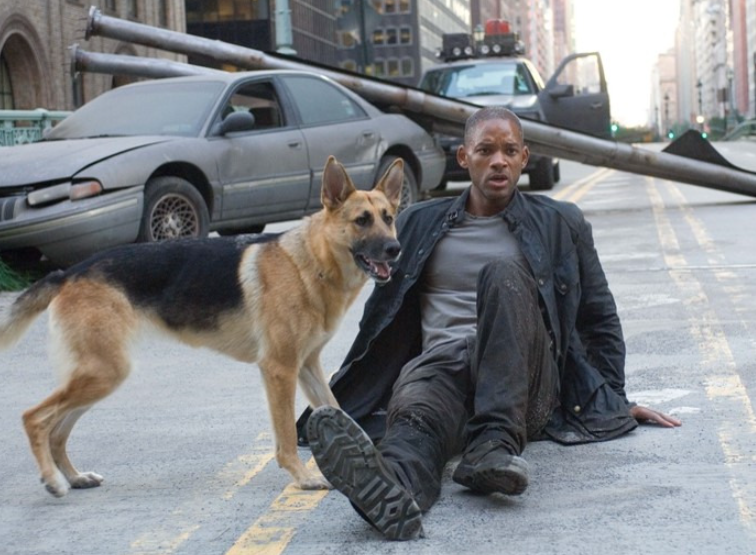 나는 전설이다 강아지