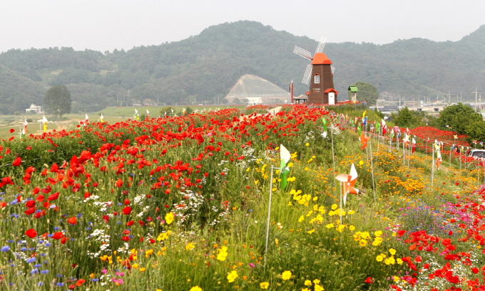 함안-악양둑방길