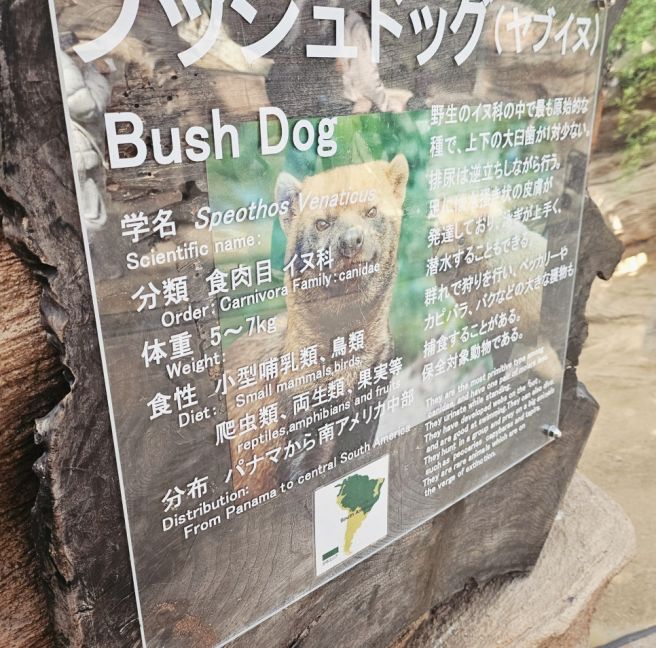 고베 동물왕국
