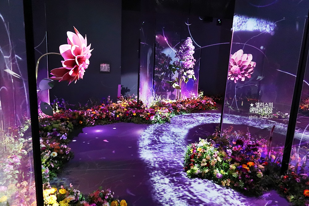 플라워바이네이키드 홍대 놀거리 입장료 23% 할인예매방법, 즐기는 꿀팁 네가지