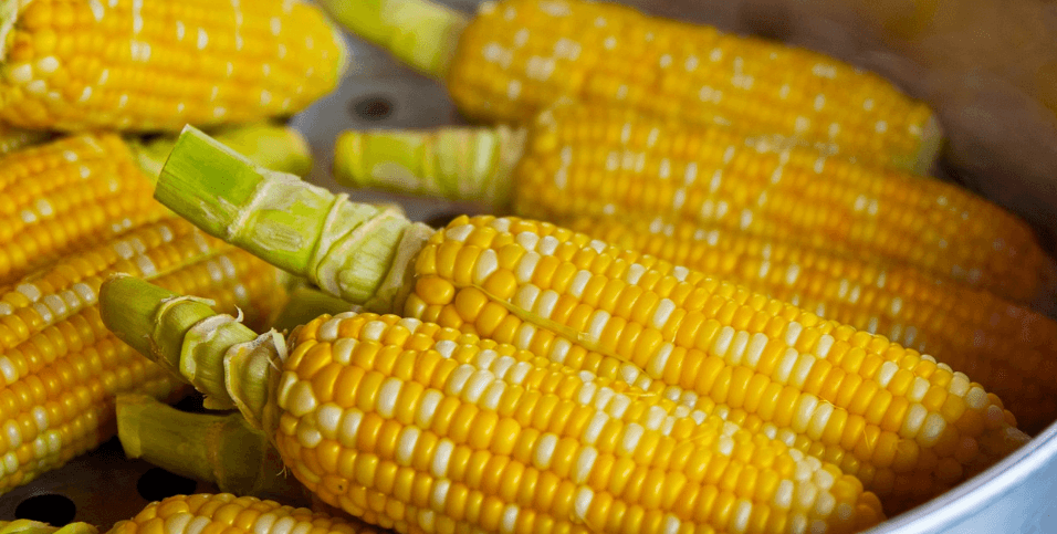 8월 제철 음식 사진 - 16