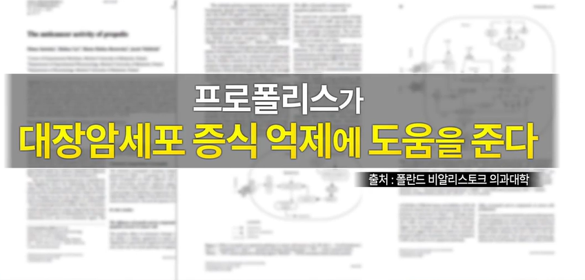 프로폴리스 효능