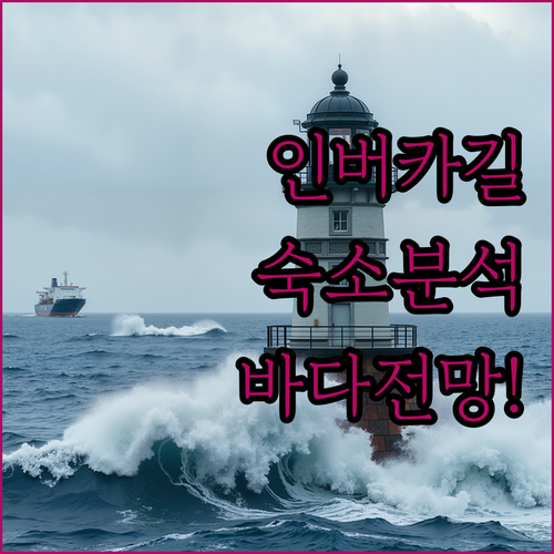 인버카길 여행 숙소 분석과 블러프 바..