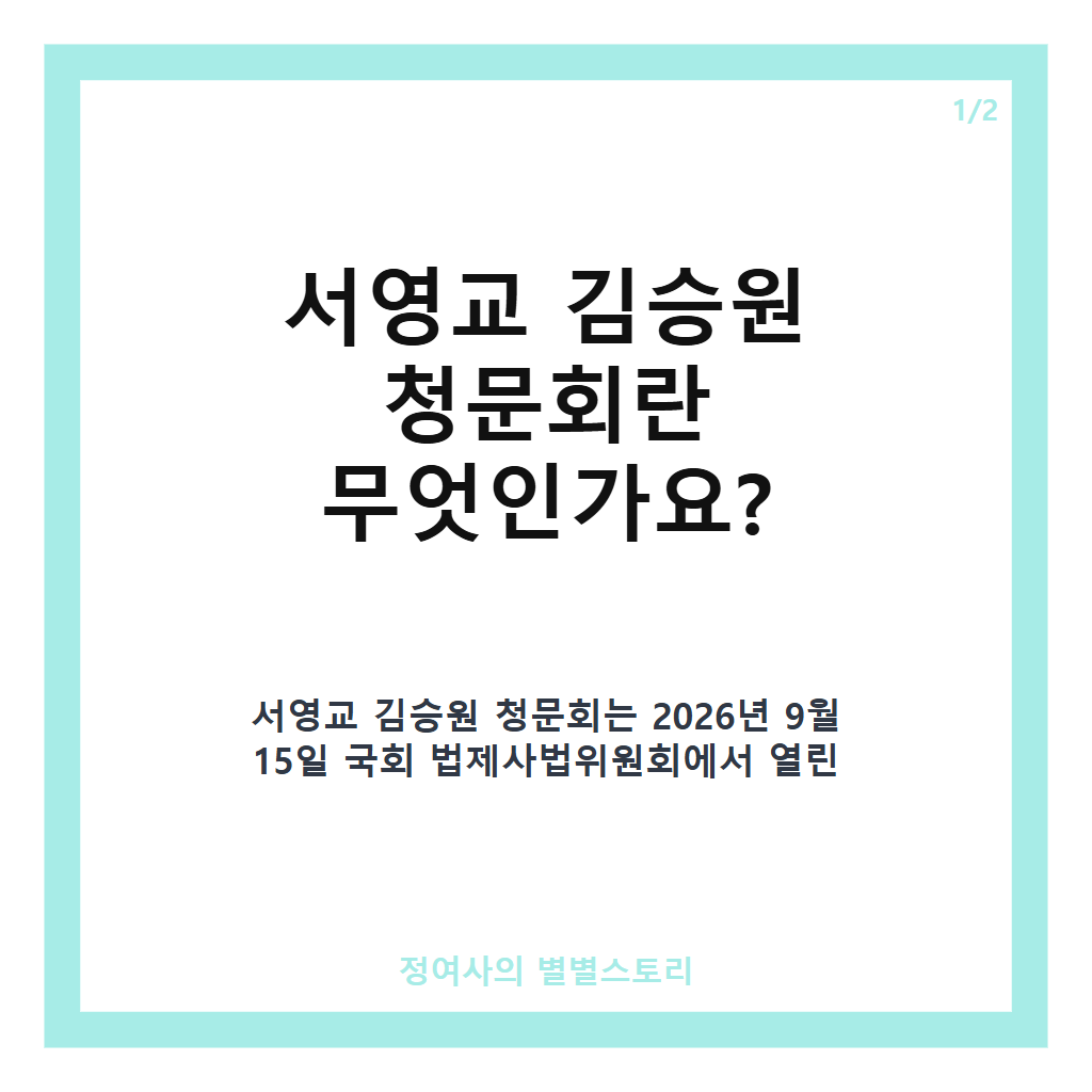 서영교 김승원 청문회 핵심 쟁점과 배우자 돌봄기관 특혜 의혹 분석 카드뉴스 1