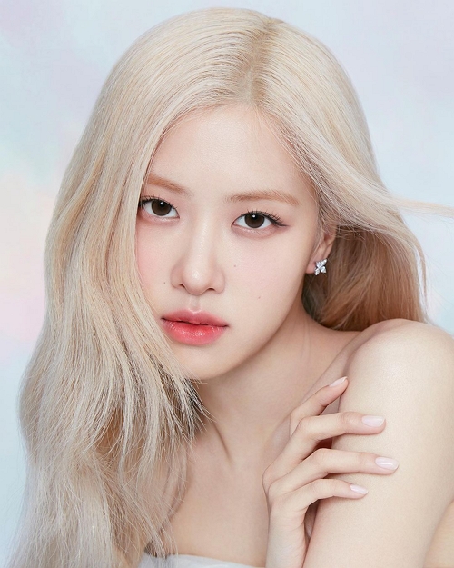 로제 사진