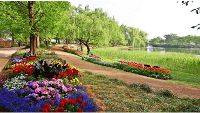 전세계꽃이 한자리에 2025고양국제꽃박람회2