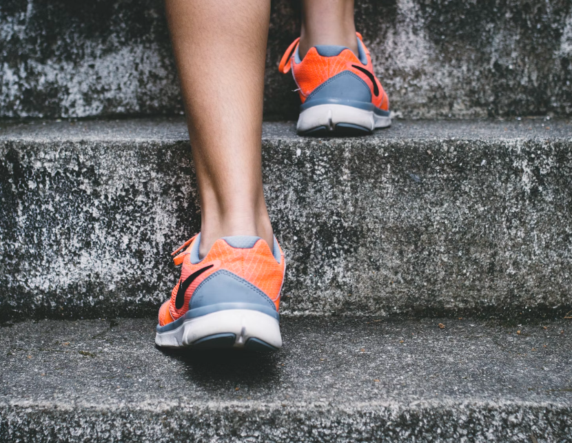 단백질 보충제 효과(효능) : 운동