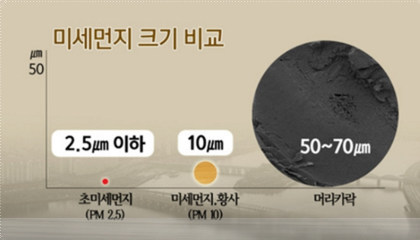 미세먼지-크기