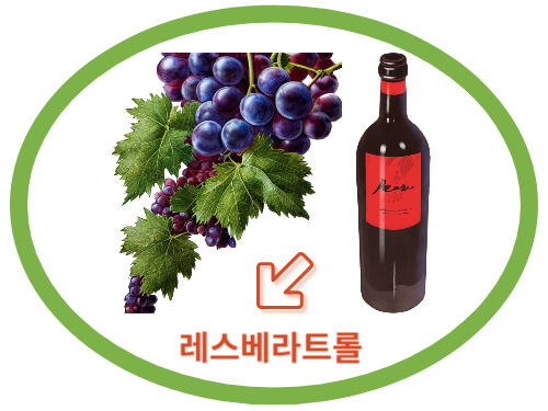 레스베라트롤