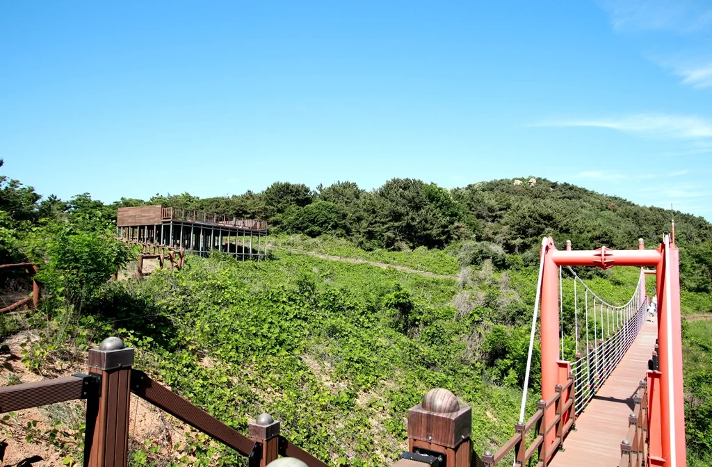 자연과 어우러진 영종도 문화탐방로 코스 중반에 위치한 출렁다리의 정취.