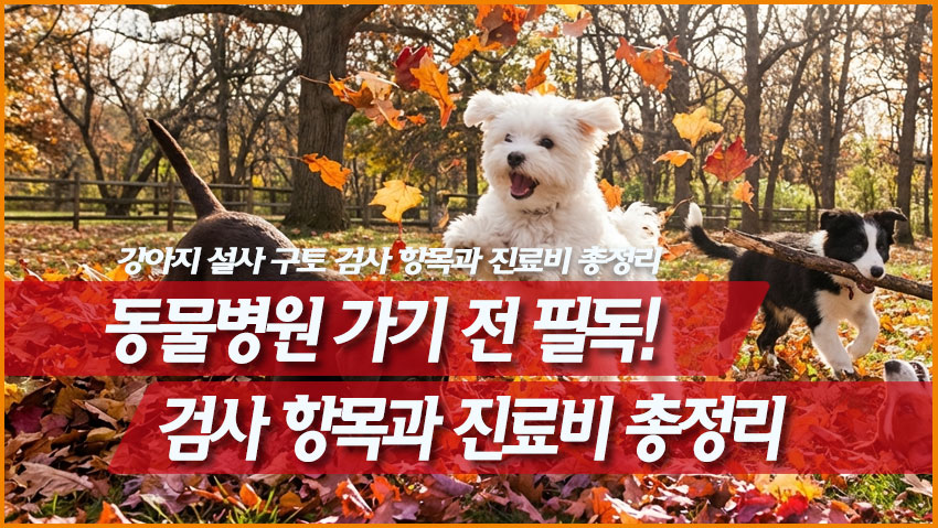 동물병원 가기 전 필독! 강아지 설사 구토 검사 항목과 진료비 총정리