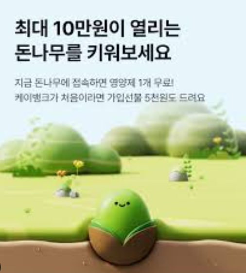 케이뱅크 돈나무 키우기 알아본다면