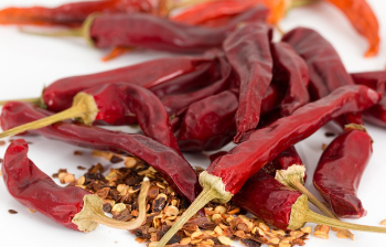 고추모종, 씨앗이 아닌 이유는 2