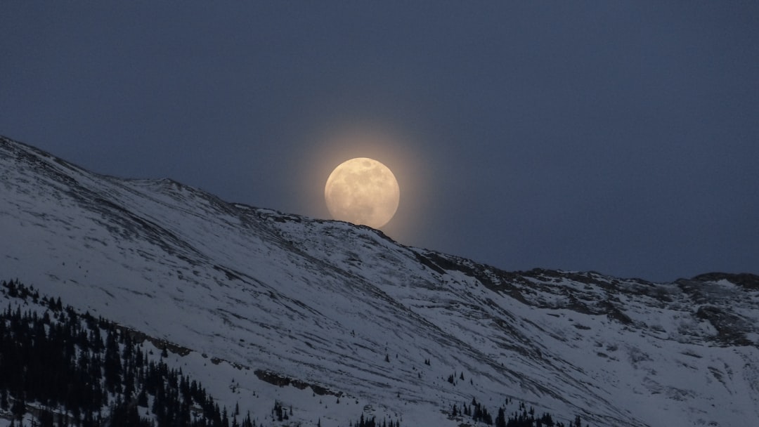 Moonlight
