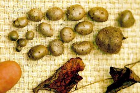 여러-가지-크기의-마