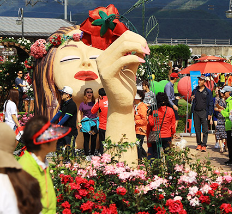 곡성 장미축제4