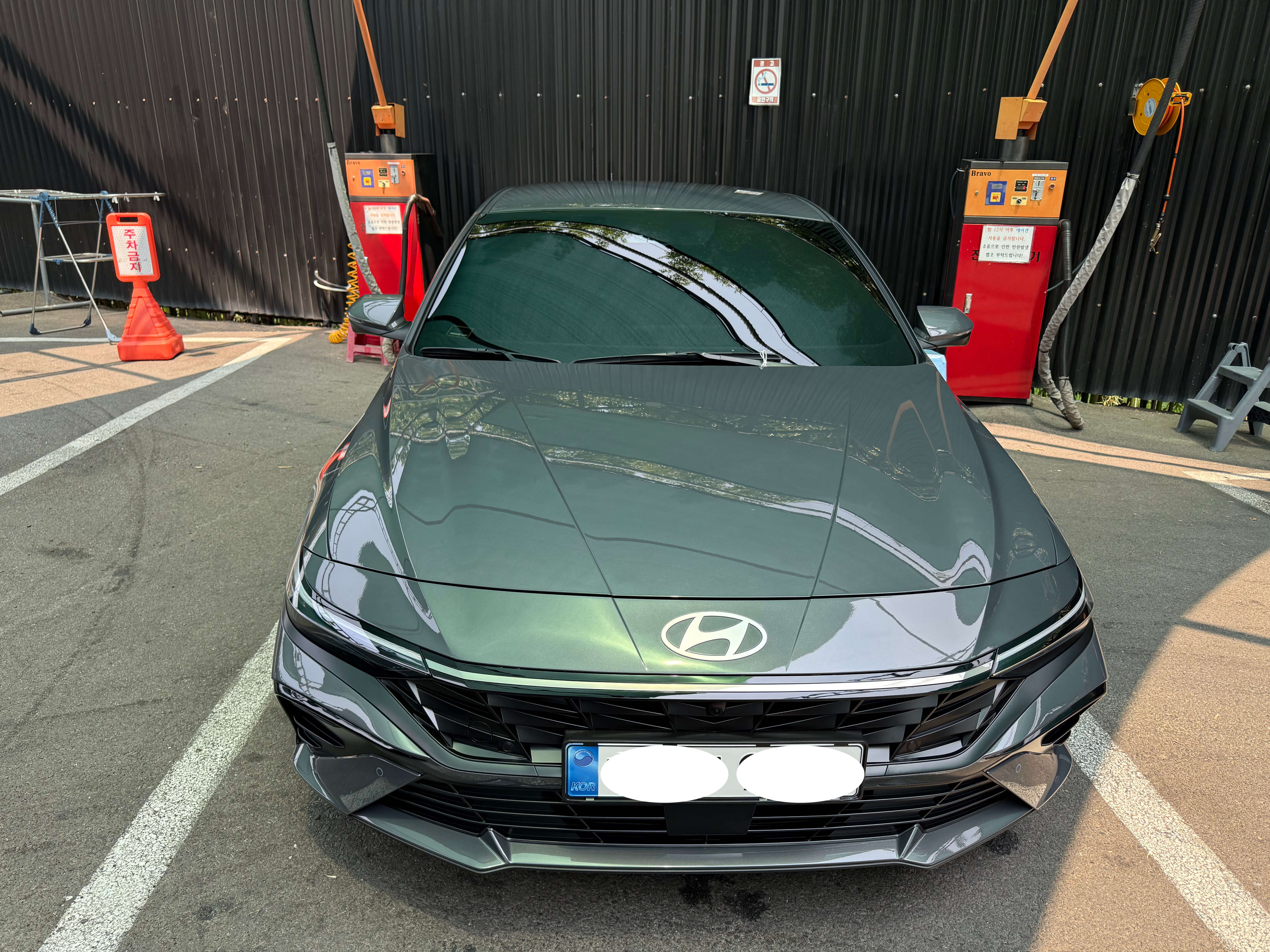 에코트로닉 그레이펄